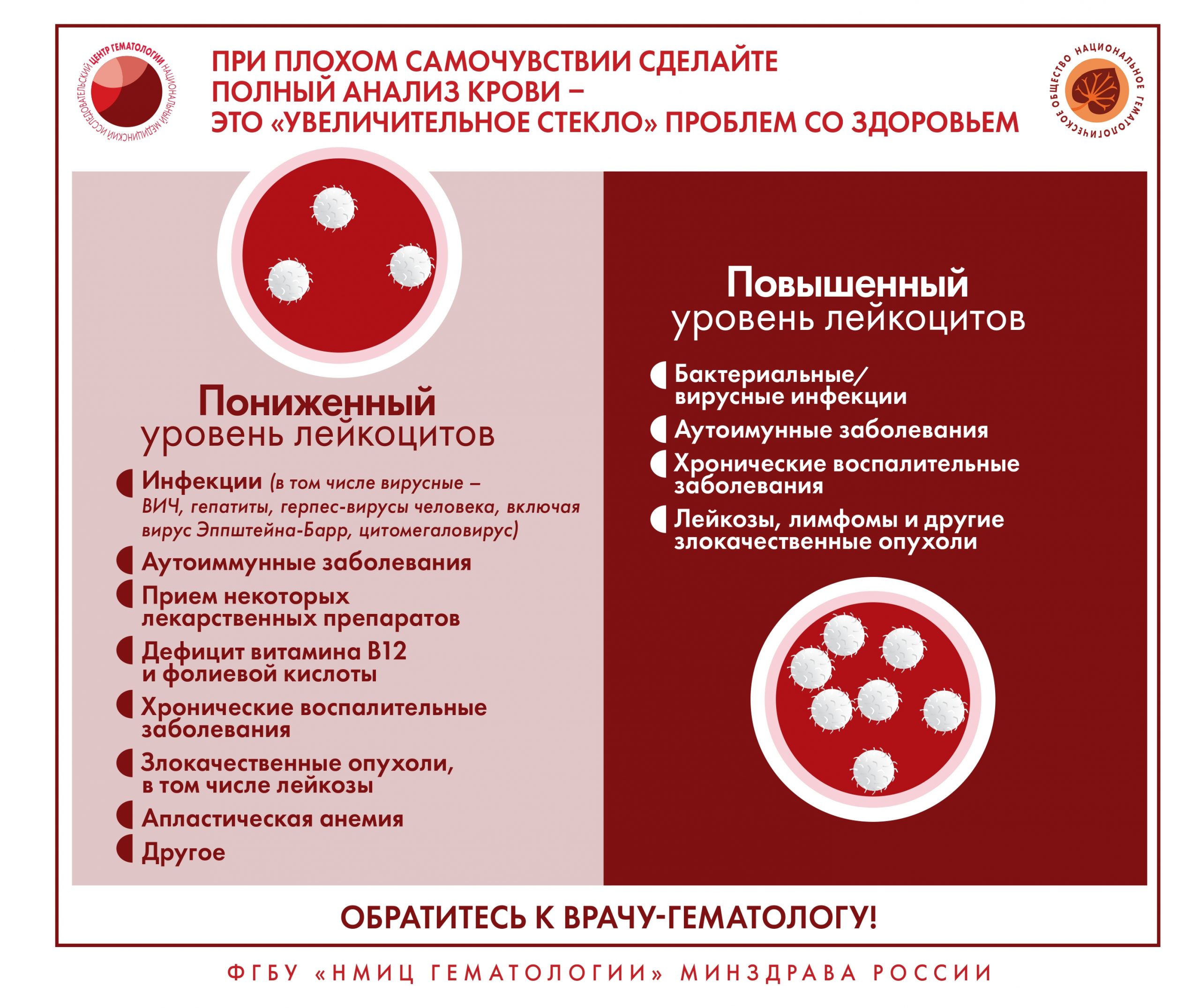 Специалистами ФГБУ «НМИЦ гематологии» Минздрава России разработана серия  инфографики, где в простой и доступной форме представлена информация о  заболеваниях системы крови | Министерство здравоохранения Республики  Мордовия